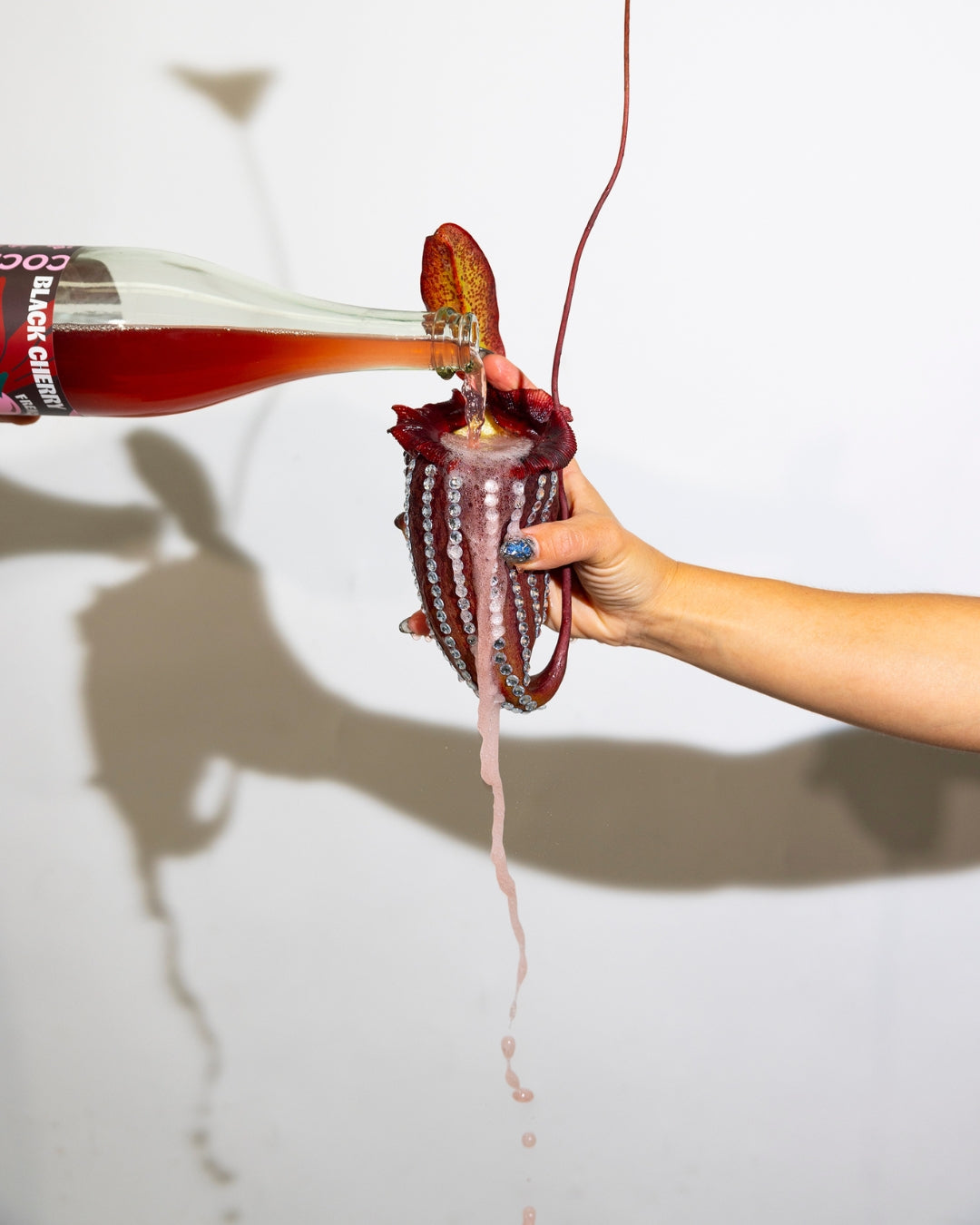 Black Cherry French Martini